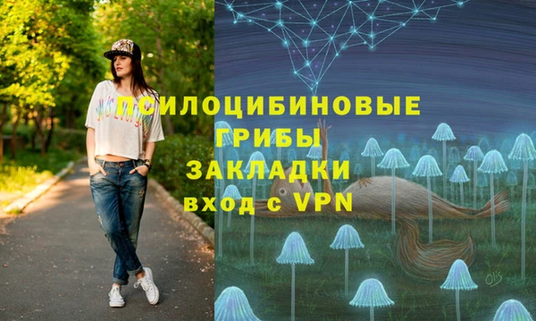 амф Верея