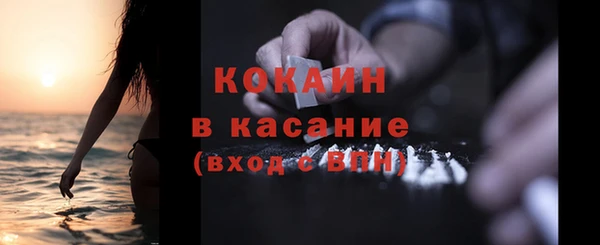 МДПВ Бородино