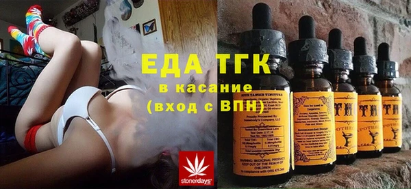 МДПВ Бородино