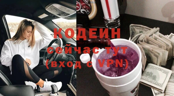 МДПВ Бородино