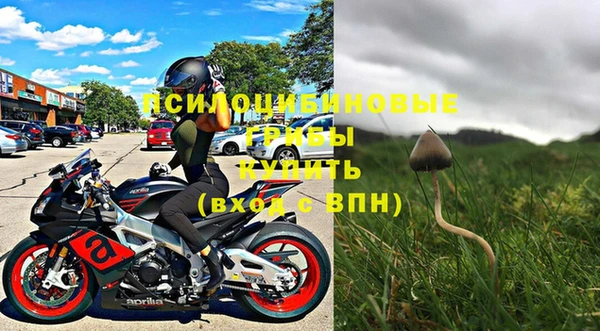 амф Верея