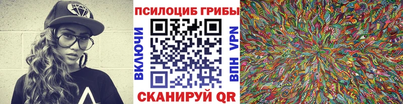 Галлюциногенные грибы Psilocybe  Грайворон 